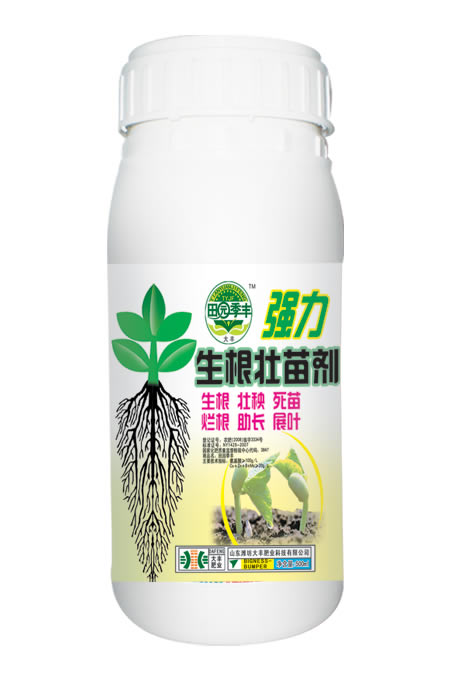 (qing)焩